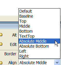 Wrap Text Absolute Middle