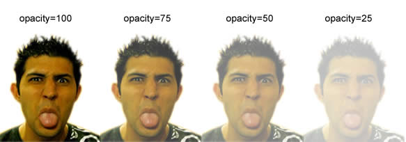 example of different levels of 
opacity